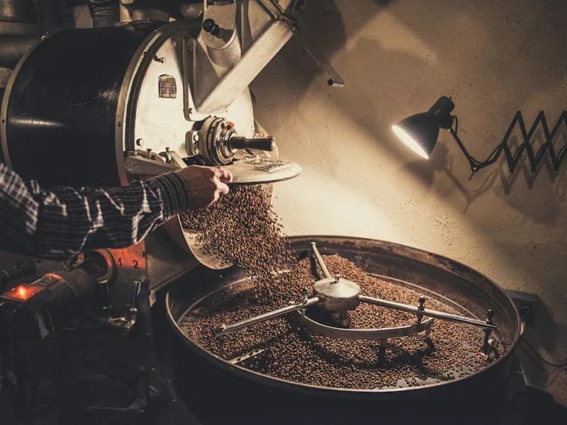 Manual Brew V60 Single Origin